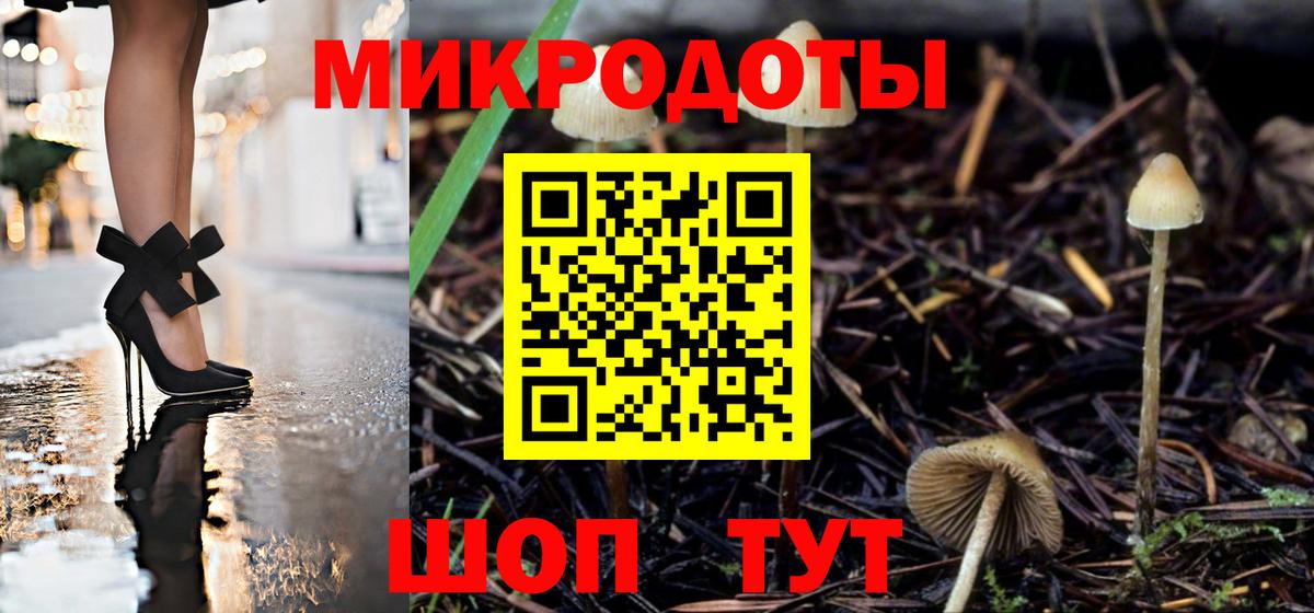 Галлюциногенные грибы Psilocybe  Галлюциногенные грибы ЛСД  Вход с VPN  купить наркотик  Северск 